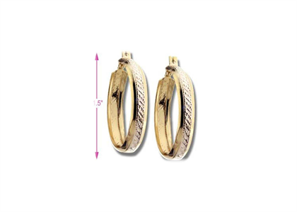 2 Tone Plated | Fashion Earrings